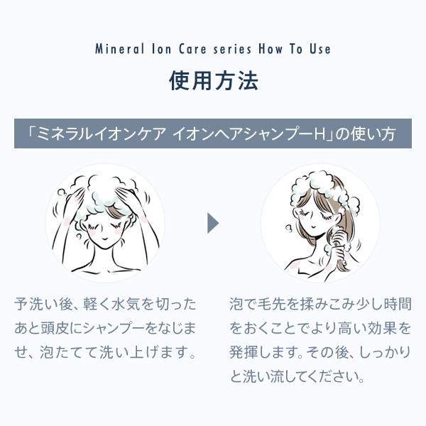 ALPSion（アルピジョン） ミネラルイオンケア イオンヘアシャンプーH