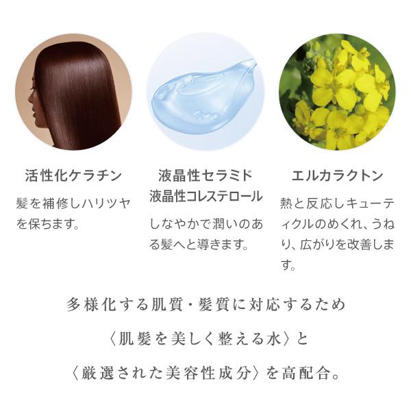 ALPSion（アルピジョン） ミネラルイオンケア イオンヘアシャンプーH