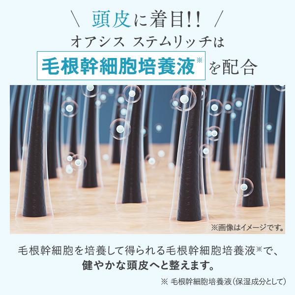 ★新発売★ オーセル オアシス ステムリッチ シャンプー ＆ コンディショナー セット 各400ml ノンシリコンシャンプー ノンシリコン oasis ダメージ アミノ酸の画像