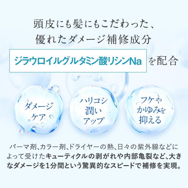 ★新発売★ オーセル オアシス ステムリッチ シャンプー ＆ コンディショナー セット 各400ml ノンシリコンシャンプー ノンシリコン oasis ダメージ アミノ酸の画像