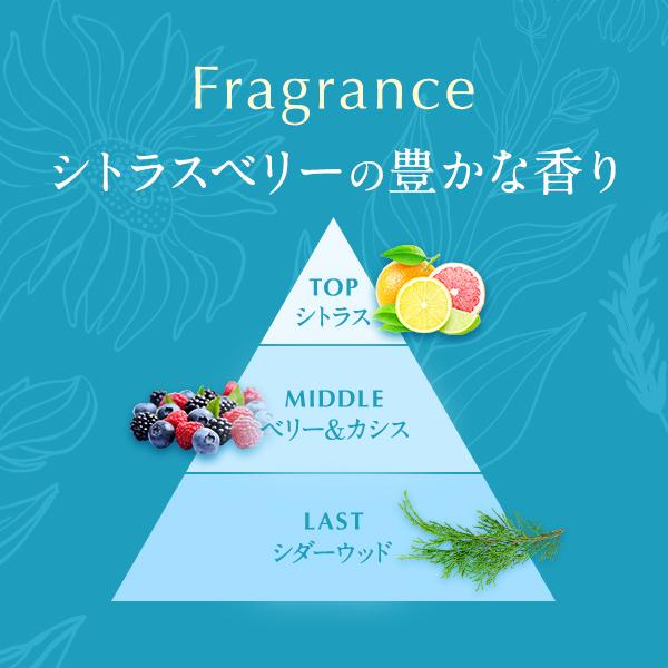 ★新発売★ オーセル オアシス ステムリッチ シャンプー ＆ コンディショナー セット 各400ml ノンシリコンシャンプー ノンシリコン oasis ダメージ アミノ酸の画像