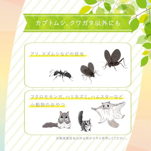 フジコン 高タンパク乳酸ドルクスゼリー 昆虫ゼリー クワガタ