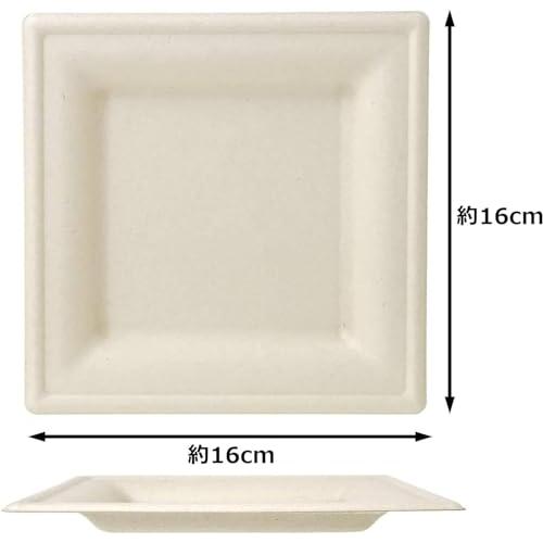 限定 ストリックスデザイン 使い捨て 紙皿 スクエア 50枚×2個セット
