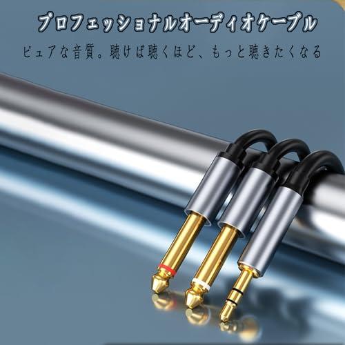 3.5mm to 6.35mm 変換ステレオミニプラグ 2分配 変換ケーブル AUX