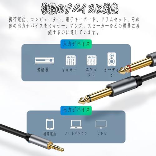 3.5mm to 6.35mm 変換ステレオミニプラグ 2分配 変換ケーブル AUX