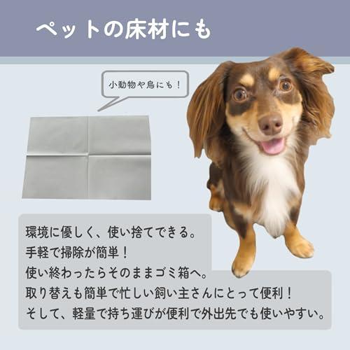 無地新聞紙 新聞紙 ペットシーツ 810mm×545mm トイレシート 清潔