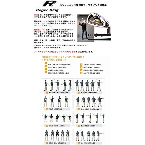 ゴルフ トミーアーマー シルバースコット IMG5 ロジャーキング