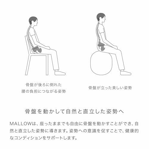 アンドメディカル MALLOW Knit マロウ ニット バランスボール 椅子