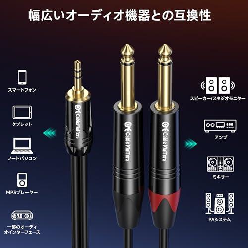Cable Matters 3.5mm TRS - デュアル6.35mm TSブレークアウトケーブル