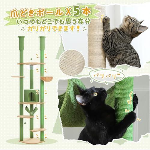PETEPELAぺテぺラ キャットタワー 突っ張り スリム ツッパリ 猫タワー 省スペース 透明 宇宙船ハンモック おもちゃ 麻紐 爪とぎ 運動_6