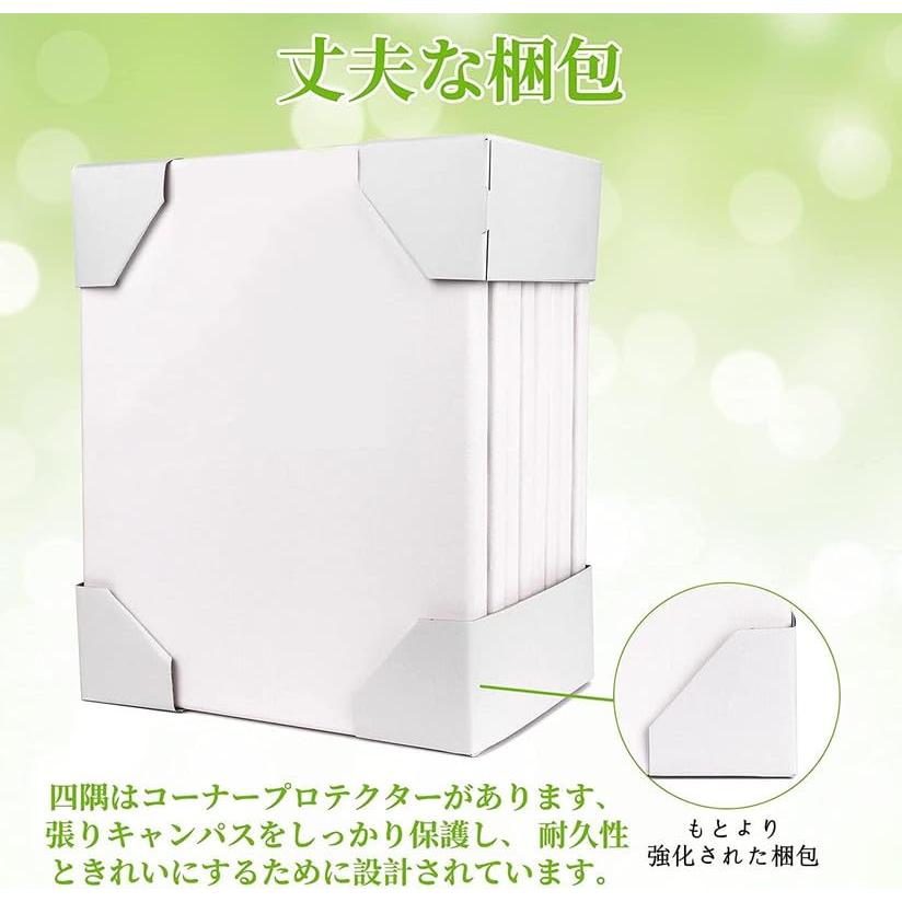 キャンバス 張りキャンバス F40 2枚セット キャンバス画材 油絵 画材