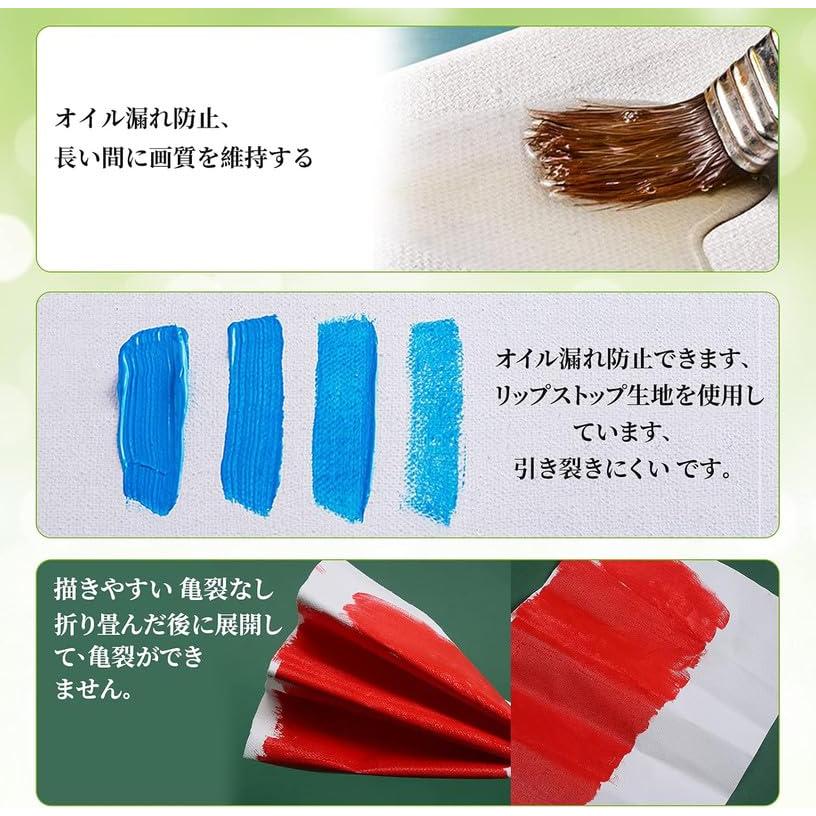 キャンバス 張りキャンバス F40 2枚セット キャンバス画材 油絵 画材