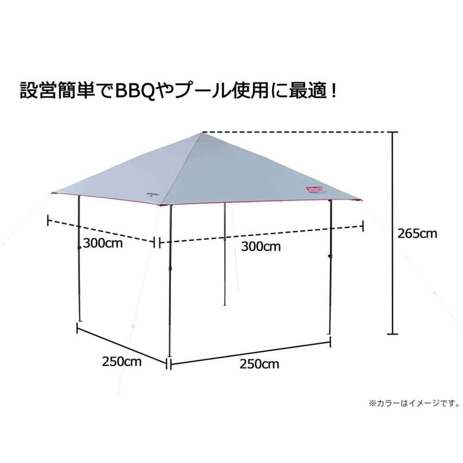 コールマン（Coleman）インスタントバイザーシェードII／Lグレージュ