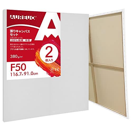 AUREUO 張りキャンバス セット F50 116.7cmX91cm 中目 100％コットン 2