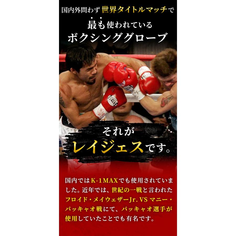 赤井英和vs大和田正春　パンフレット　渡辺二郎vsパヤオ第1戦のチラシのセット 赤井英和vs大和田正春 パンフレット 渡辺二郎vsパヤオ第1戦のチラシの