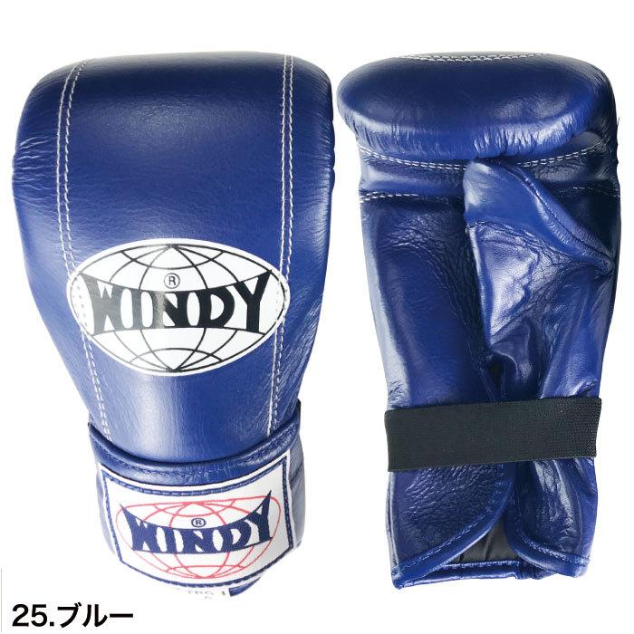 WINDY ボクシンググローブ 青練習用グローブ赤レガースゲルガード
