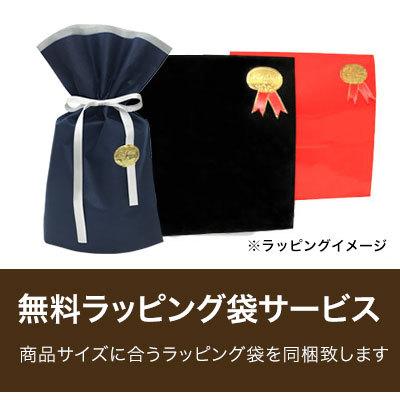 TOOT（トゥート） シースルー サイドストリング ビキニ メンズ