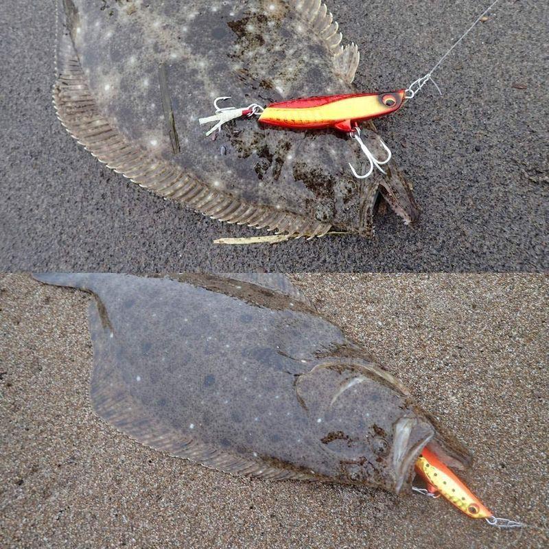 新品本物 ダイワ Daiwa ルアー ピンクゼブラグロー 40g Tg ヒラメタルz フラットジャンキー メタルジグ その他ハードルアー Www We Job Com