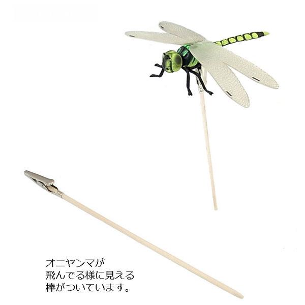 オニヤンマ 12cmサイズ 1匹 本物サイズ おにやんま トンボ 小ハエ
