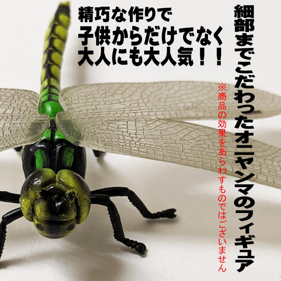 オニヤンマ 12cmサイズ 1匹 本物サイズ おにやんま トンボ 小ハエ