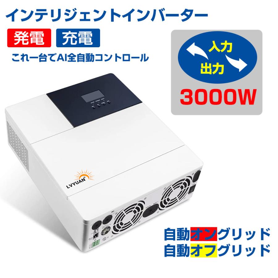 上品】 IpowerBingo インバーター 正弦波 24V 3000W 最大 6000W
