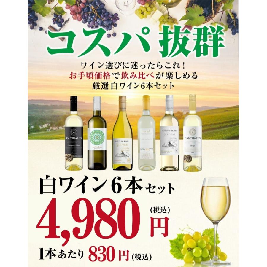 送料無料】コスパ白ワイン6本セット イタリア スペイン チリ 赤白 飲み