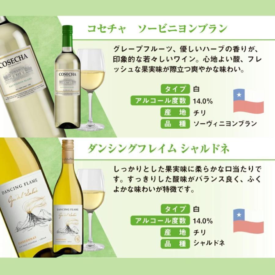 送料無料】コスパ白ワイン6本セット イタリア スペイン チリ 赤白 飲み