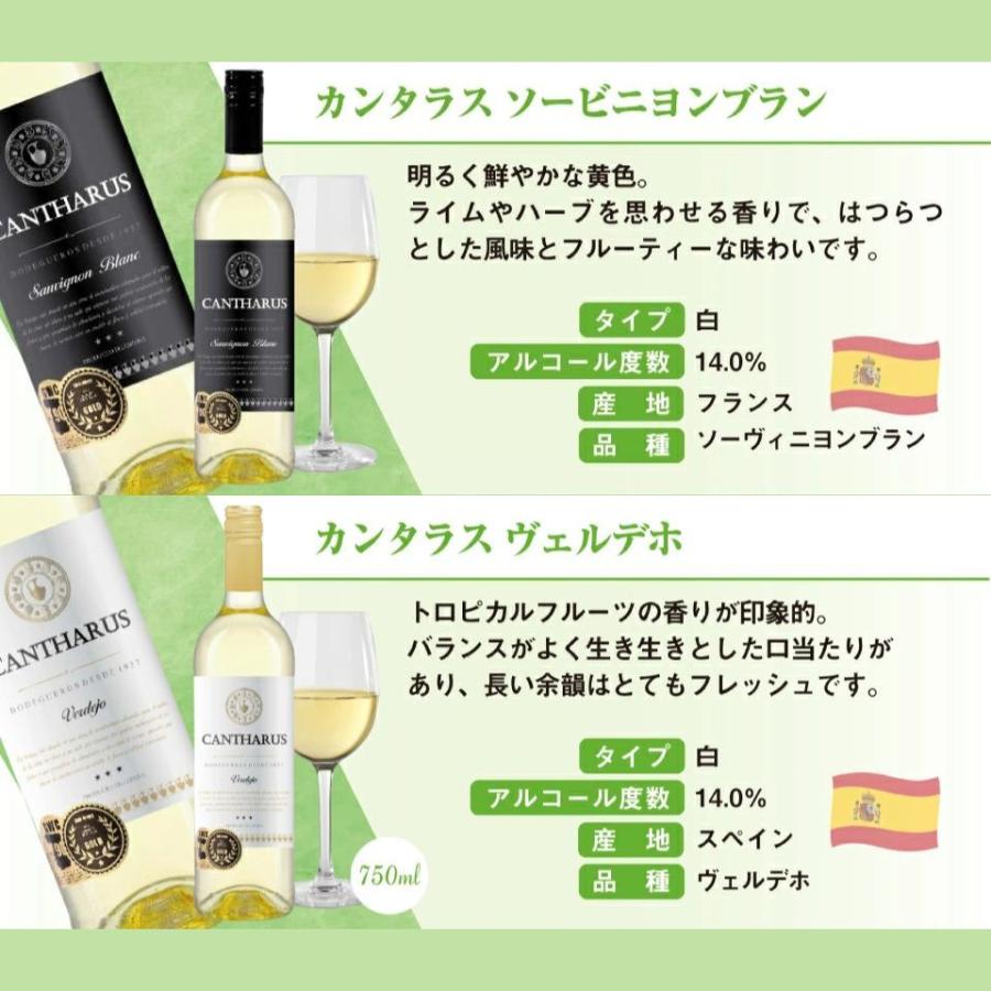 送料無料】コスパ白ワイン6本セット イタリア スペイン チリ 赤白 飲み