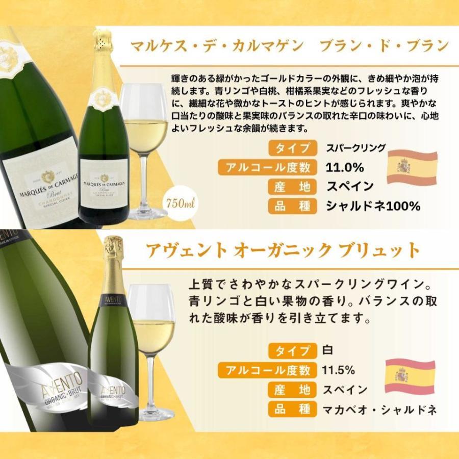 すべて辛口 スパークリングワイン 6本セット イタリア スペイン