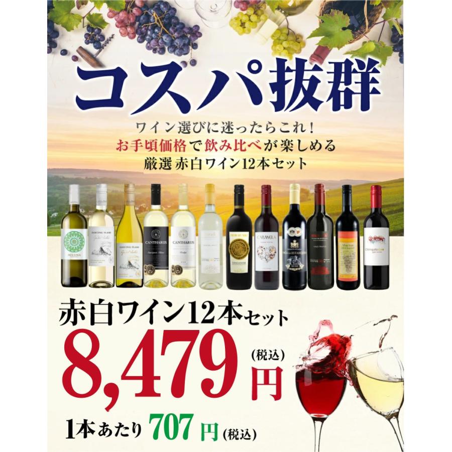 【※送料無料】赤ワイン 白ワイン 未開封 12本セット 送料無料】コスパ最強赤白ワイン 12本セット 赤白 飲み比べ 詰め合わせ