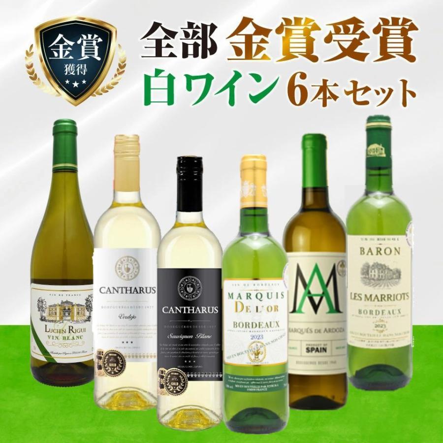 金賞受賞白ワイン6本セット 白ワインセット フランス 飲み比べ 