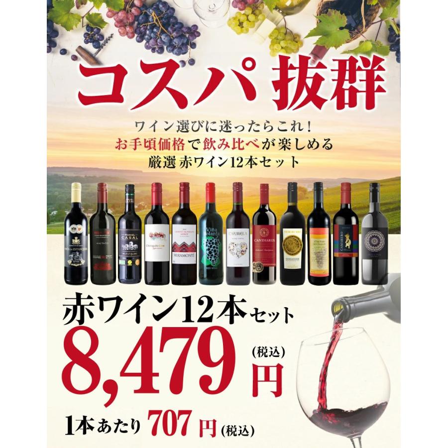 送料無料】＜1本あたり707円(税込)＞コスパ最強赤ワイン 12本セット