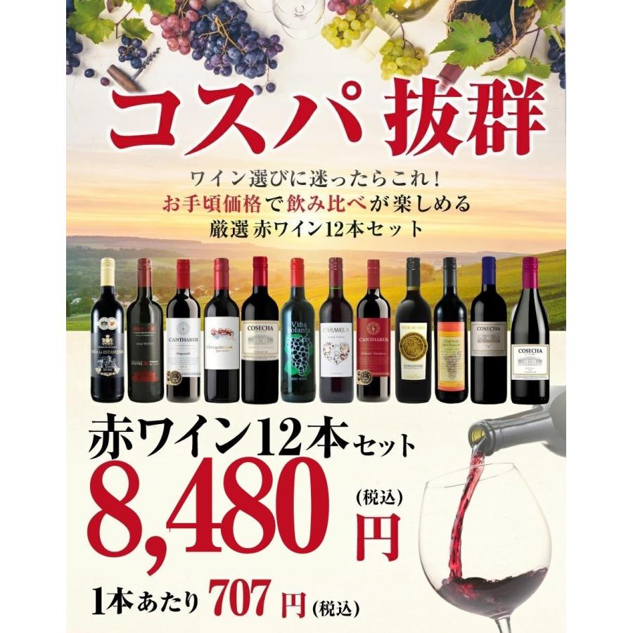 送料無料】＜1本あたり707円(税込)＞コスパ最強赤ワイン 12本セット