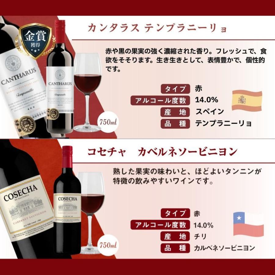 送料無料】＜1本あたり707円(税込)＞コスパ最強赤ワイン 12本セット
