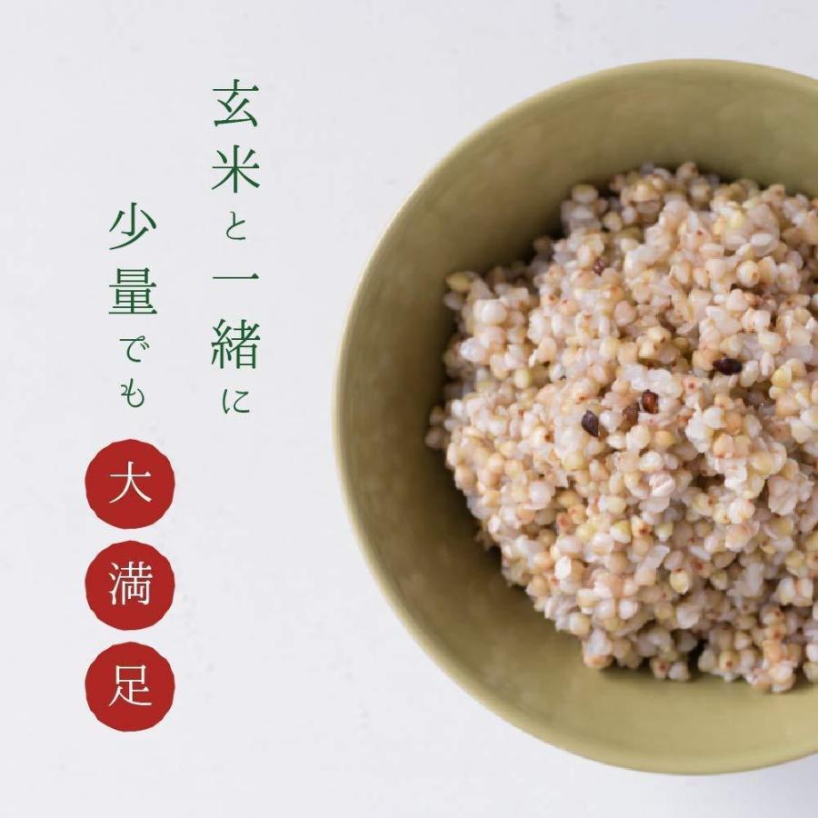 蕎麦の実 1kg（500g×2袋） 国産 無農薬 そばのみ そばの実 抜き実 丸