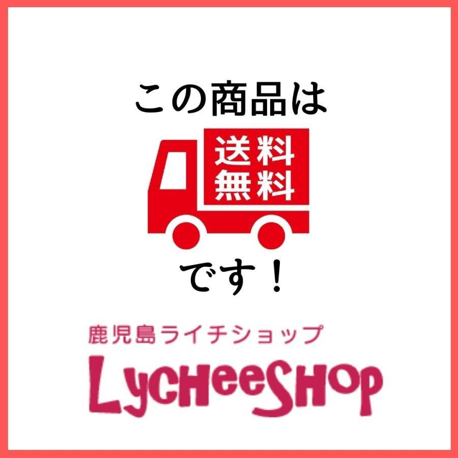 グアバ 苗木 取り木1年もの 21cmポット : 国産ライチ販売ショップ