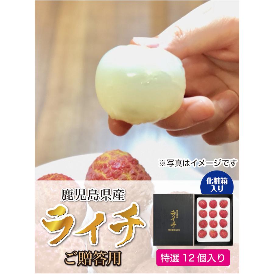 生ライチ 鹿児島県産 国産 生産販売 化粧箱入り 特選12個入り : 国産