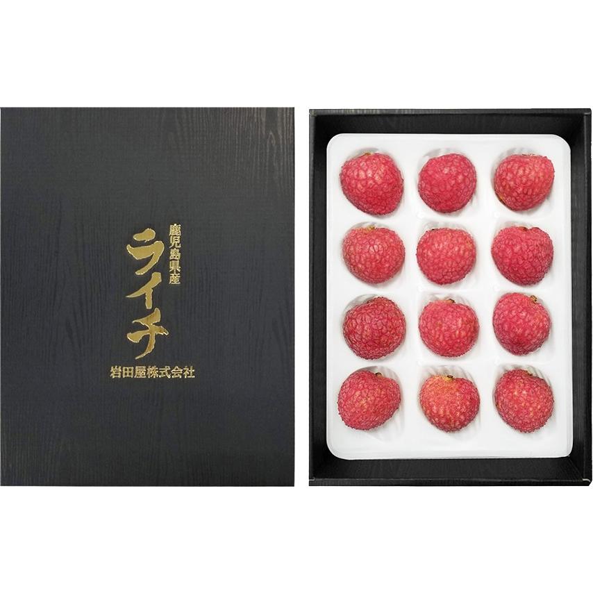 生ライチ 鹿児島県産 国産 生産販売 化粧箱入り 特選12個入り : 国産