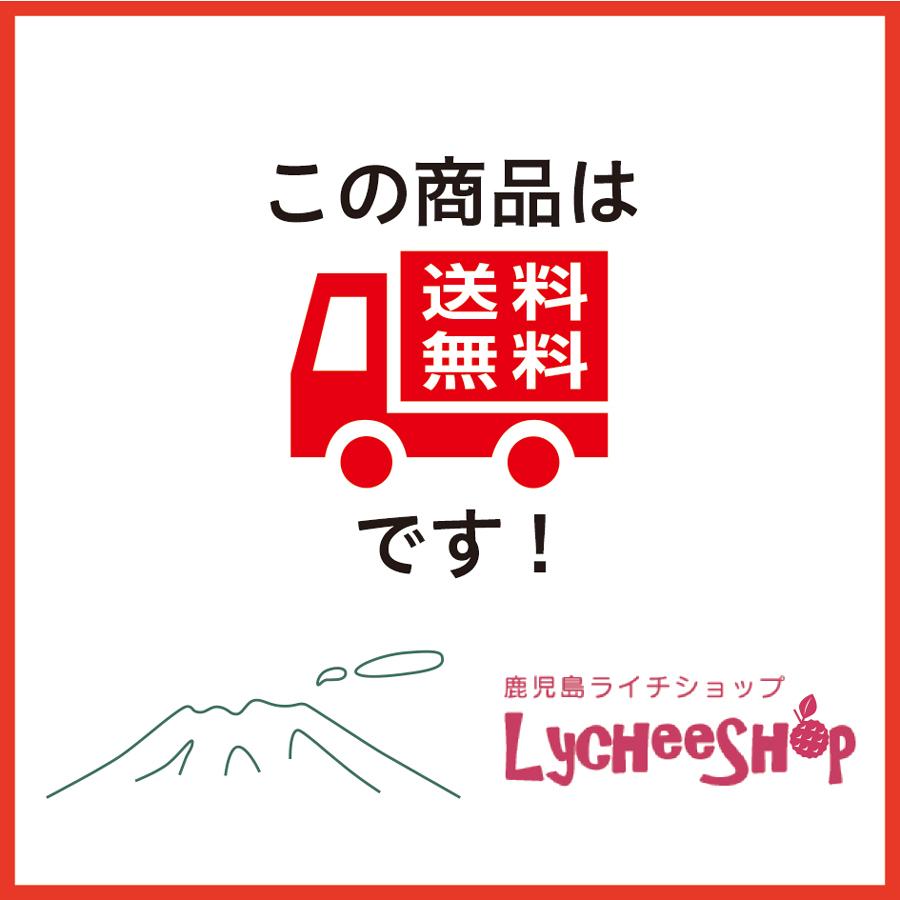 2026年 8月初旬〜出荷予定】生ライチ鹿児島県産 国産 生産販売 化粧