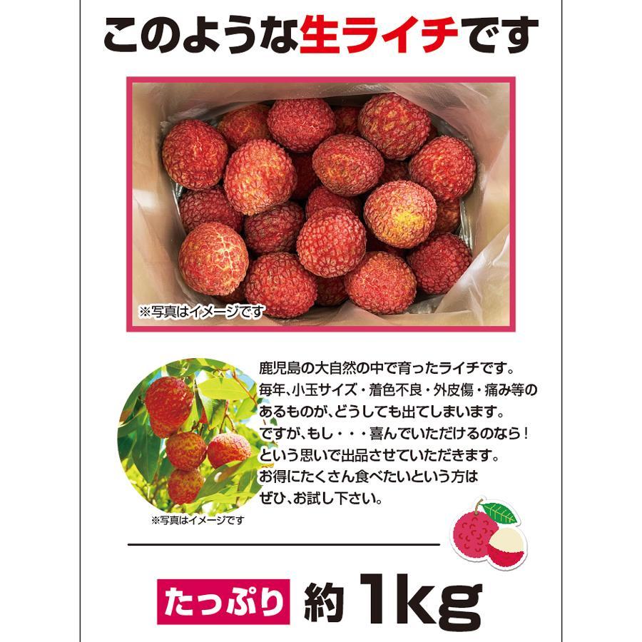 当日〜2営業日】訳ありライチ 国産 鹿児島ライチ販売 生産販売 生
