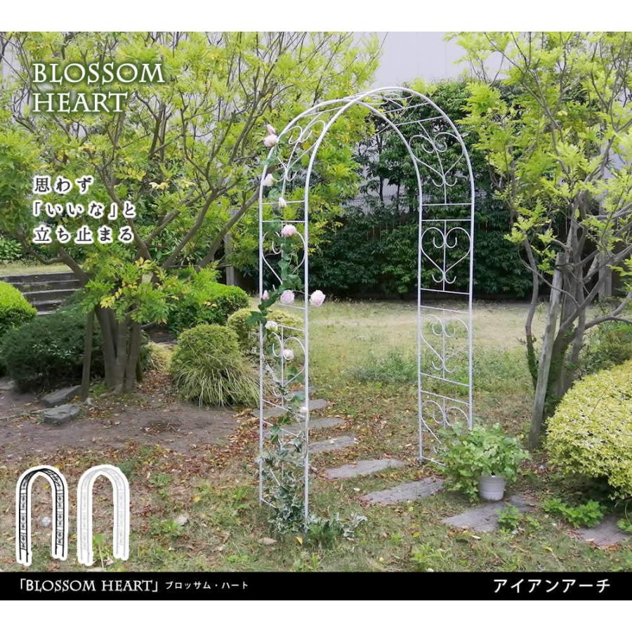 ガーデンアーチ アイアンアーチ ダークブロンズ ホワイト 白 おすすめ