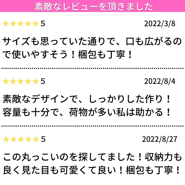 フォーマルバッグ はっ水 日本製 アシンメトリー 冠婚葬祭 慶弔両用 黒 レディース 母の日 | Lycorisnoir LN-B13 | Lycorisnoir | 12
