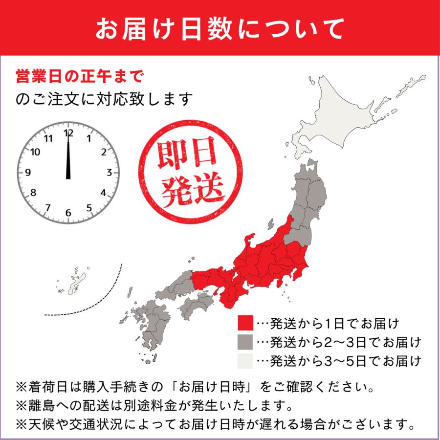 フォーマルバッグ 背面ポケット付き 大きめ 日本製 はっ水 冠婚葬祭 慶弔両用 黒 レディース 母の日 | Lycorisnoir LN-B26 | Lycorisnoir | 10