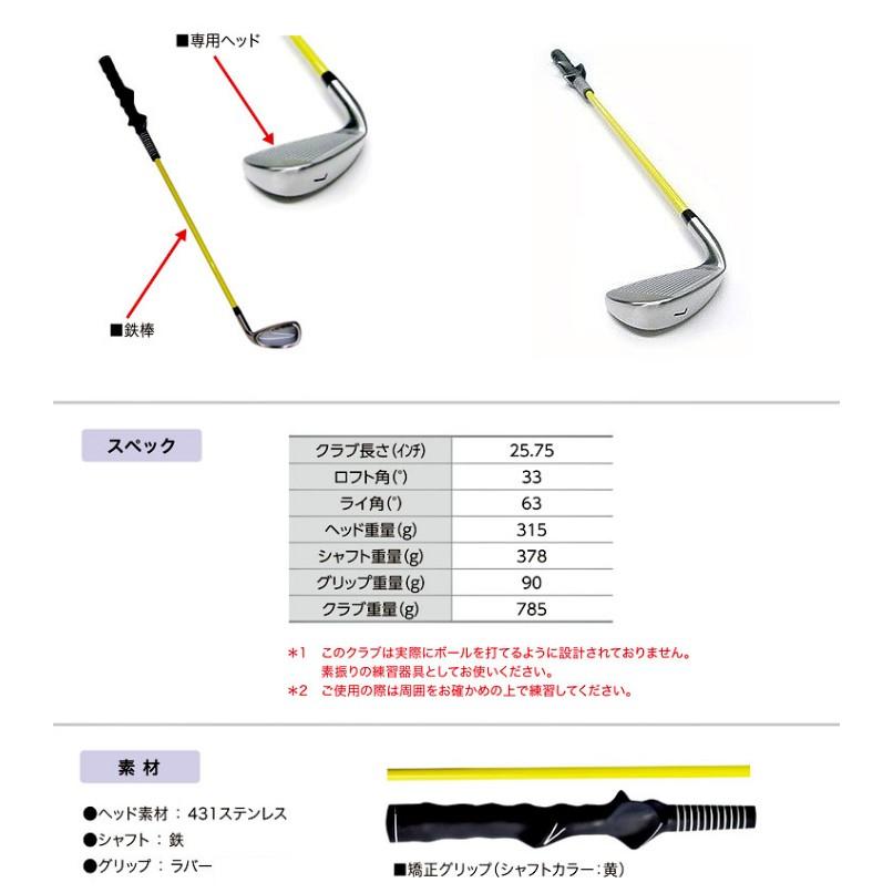 公式] Lynx リンクス ゴルフ TEACHING PRO II ティーチングプロ2