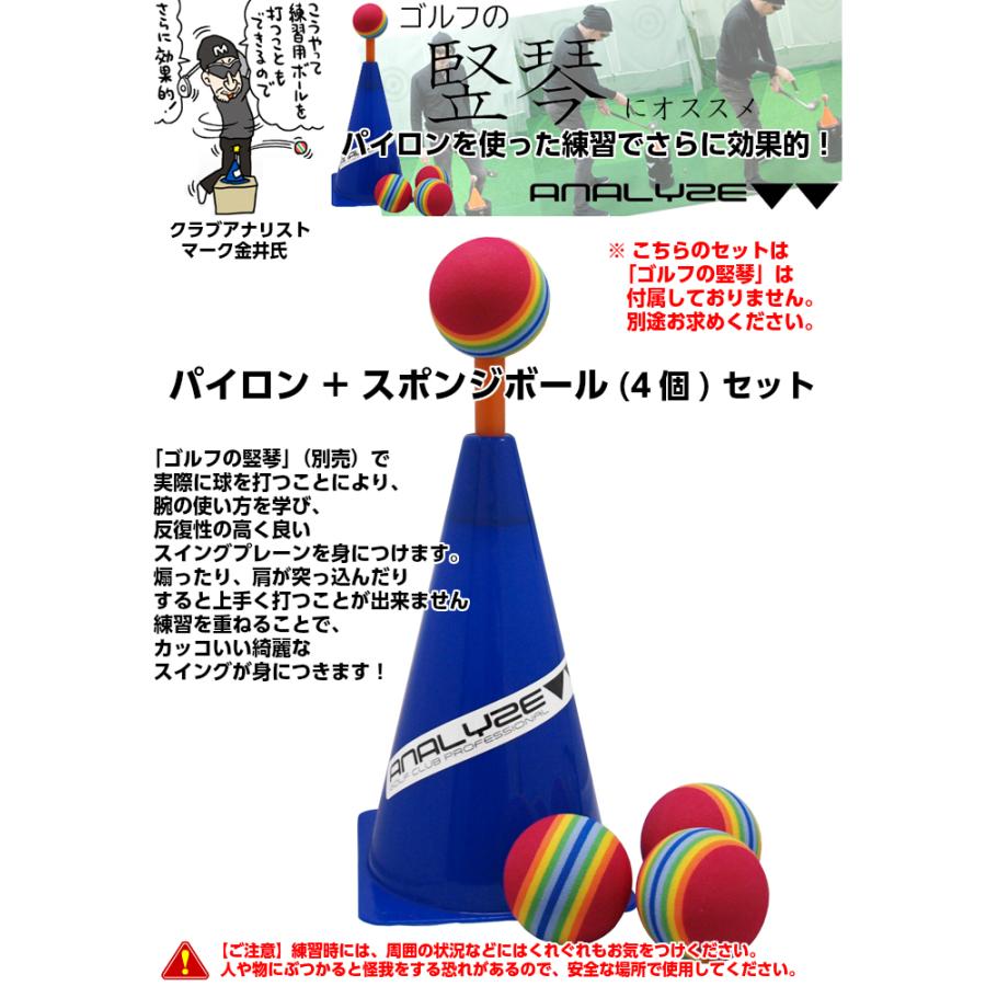 アナライズ オリジナル パイロン&スポンジボール セット アナライズ オリジナル パイロン&スポンジボール セット