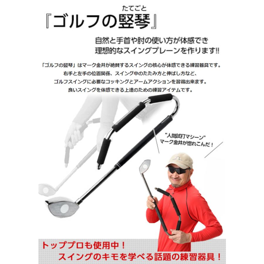 ゴルフの竪琴 たてごと スイング 練習器 + パイロン スポンジ ゴルフの竪琴 たてごと スイング 練習器 + パイロン スポンジ