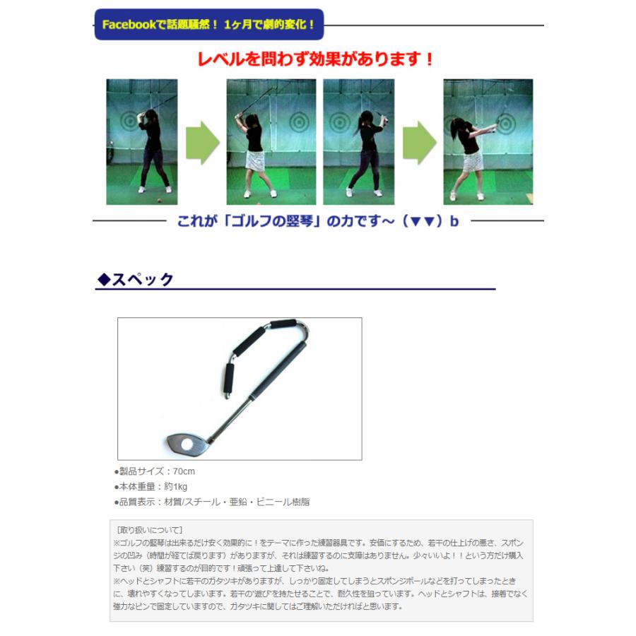 ゴルフの竪琴 たてごと スイング 練習器 + パイロン スポンジ ゴルフの竪琴 たてごと スイング 練習器 + パイロン スポンジ