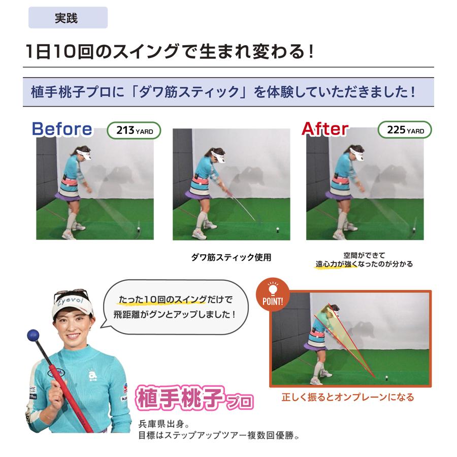 公式] Lynx リンクス ゴルフ ダワ筋スティック プロ スイング