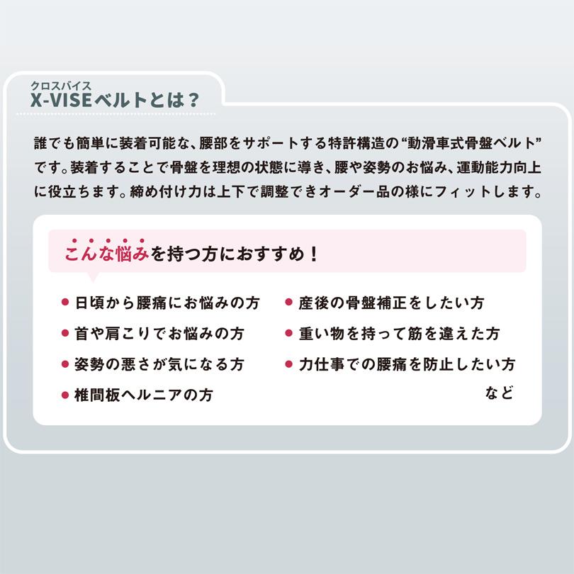 クロスバイス X-VISE　動滑車式骨盤ベルト リンクス |  | 04
