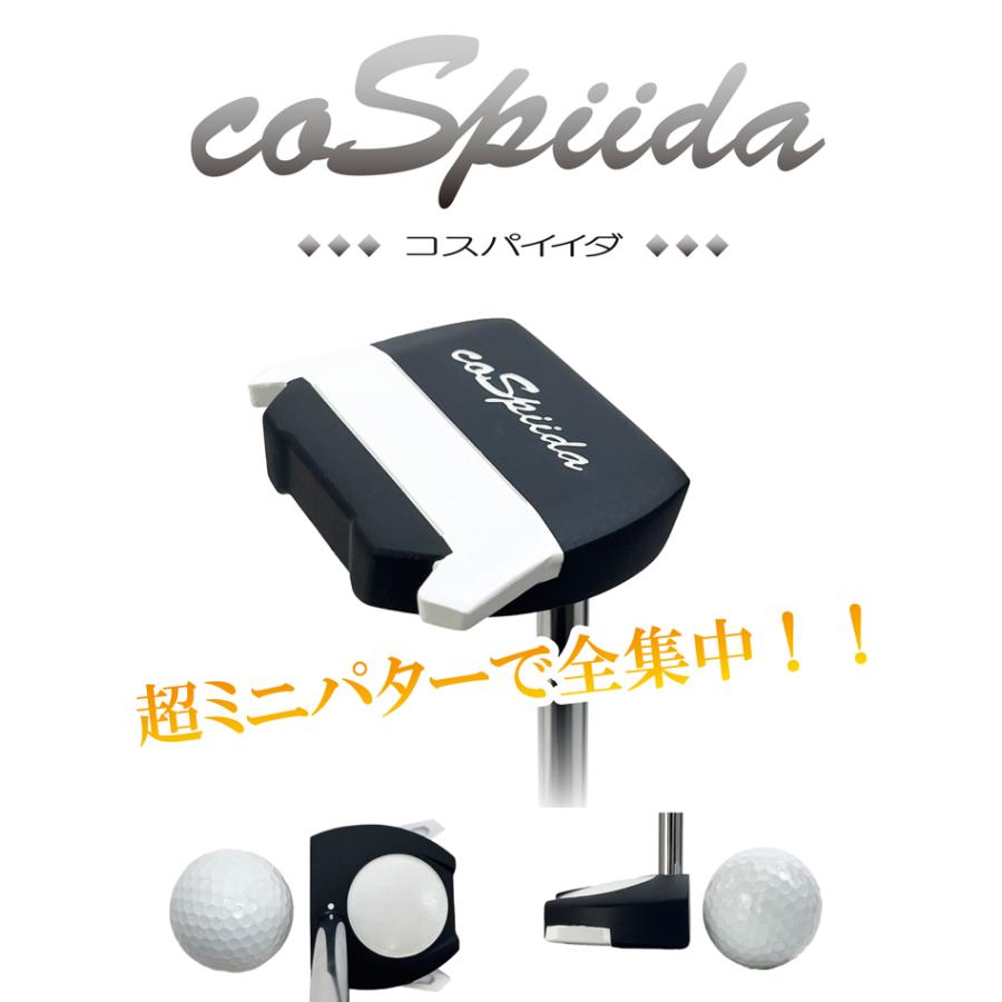 スパイダリング T-PM パター テーラーメイド Spider（スパイダー）TOUR X TRUSS TM2 パターの試打